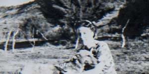 Gertie with Sinclair's dogs, just before their wedding